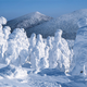 Illustration for article titled Snow monsters rise across Japan